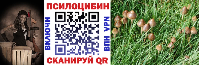 закладки  Полярный  Галлюциногенные грибы Magic Shrooms 